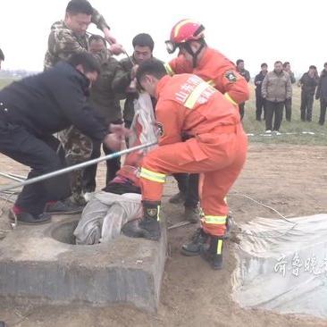 2025.11.27菏泽今天空气质量指数怎么样