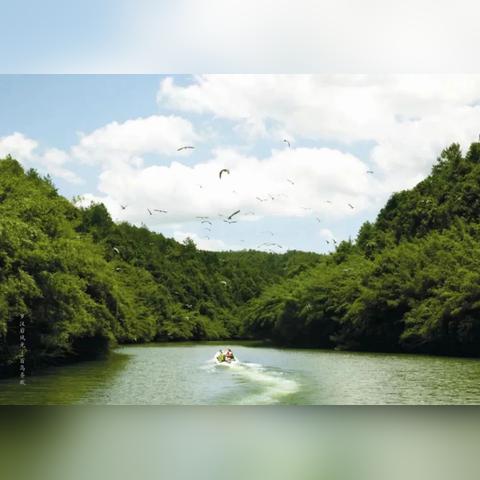 无锡市洋河公园在哪里