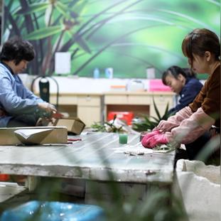 福建兰花好不好？