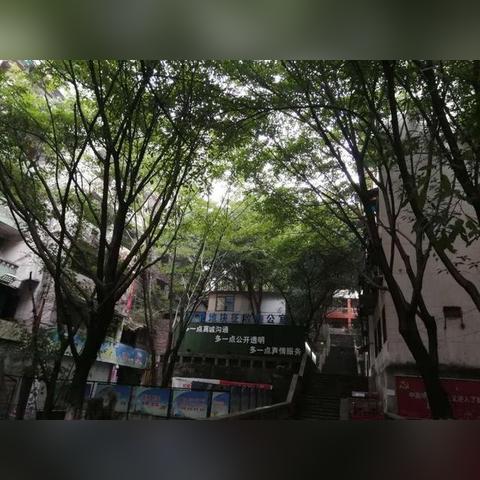 济南市建新南路是哪个区