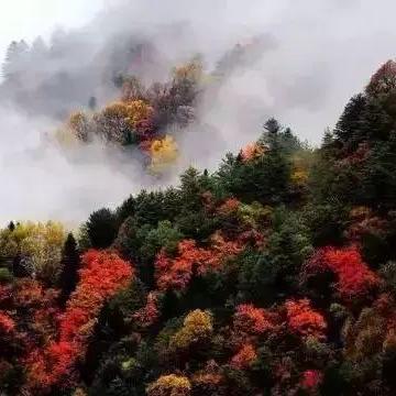 兰州市哪里修理大货车