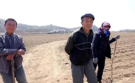 元宵节刚过，玉米就降价，农民弃田外出，以后都要吃进口粮食吗？