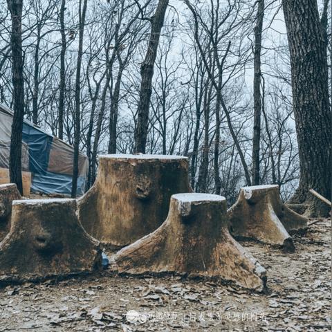 [苏州灵岩山爬山路线]相关长尾关键词有哪些