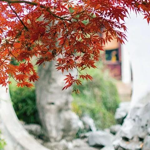 苏州市姜姓来历是什么村