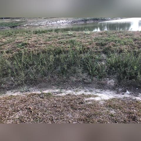 东莞市水库有哪些