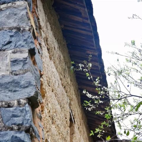 半坡老房子餐厅泉州市的长尾关键词有哪些