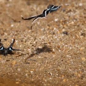 uc武汉的长尾关键词有哪些