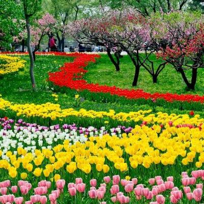 2015合肥植物园相关长尾关键词有哪些