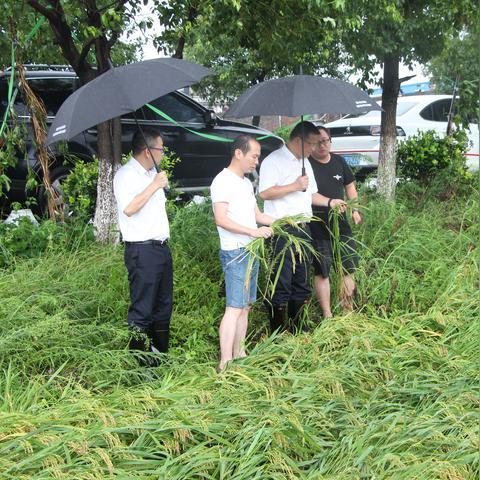 温州市土地征收补偿条例的长尾关键词有什么