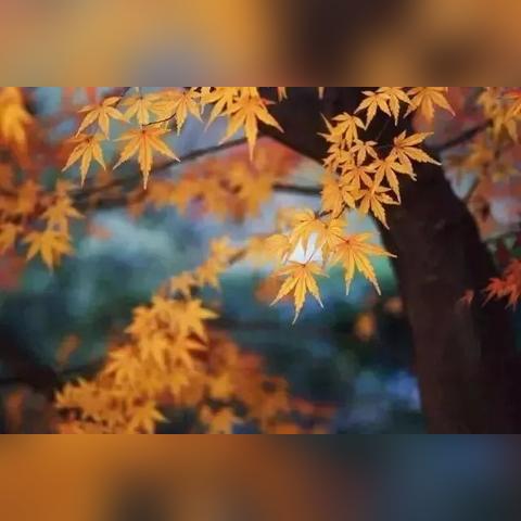 桂林市象山区水库有哪些
