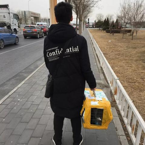 哈尔滨市跑腿代办电话是多少