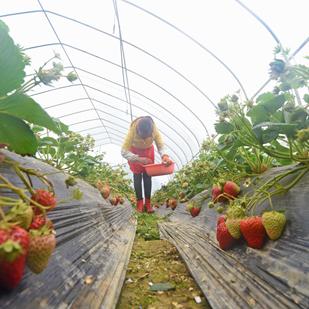 广东省佛山市白坭镇天气的长尾关键词有什么