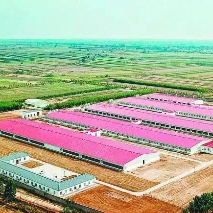 陕西的省会西安市，为何一直是全省的龙头老大？