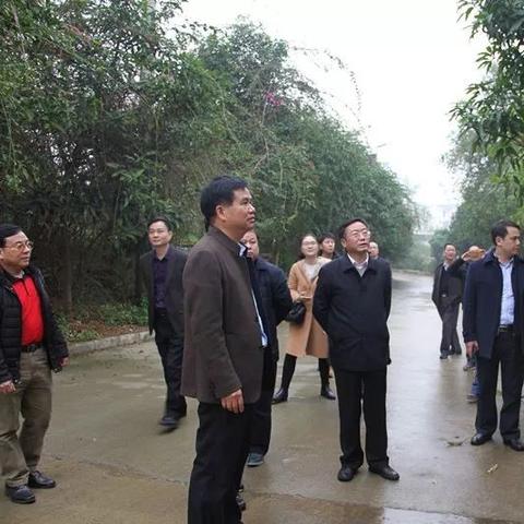 南宁市找工作哪个区好