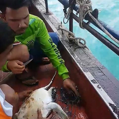 沈阳市泰浮相关长尾关键词有哪些