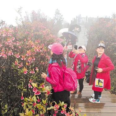广西南宁市哪个加油站最便宜？