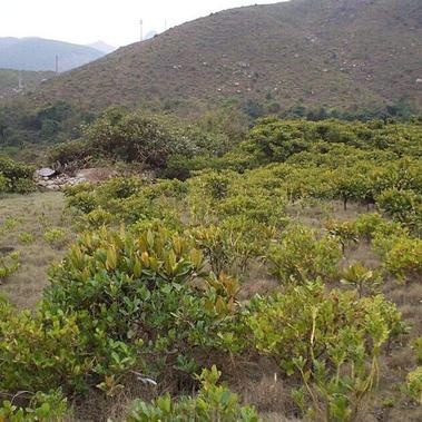 福建山上三月穿什么