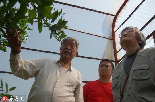 褚时健去世，90后认为他只是个种橙子的农民，但他更是个传奇