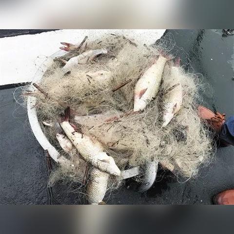 南宁市是哪个市级行政区