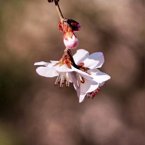 济南市周围有什么山