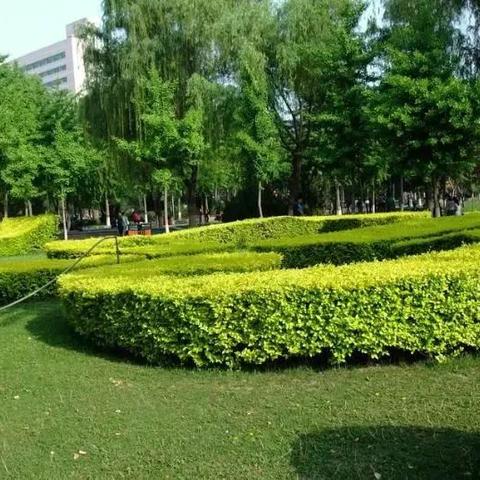 石家庄市最新公厕招工的长尾关键词有哪些