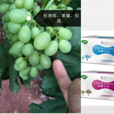东莞市翔美电子厂怎么样