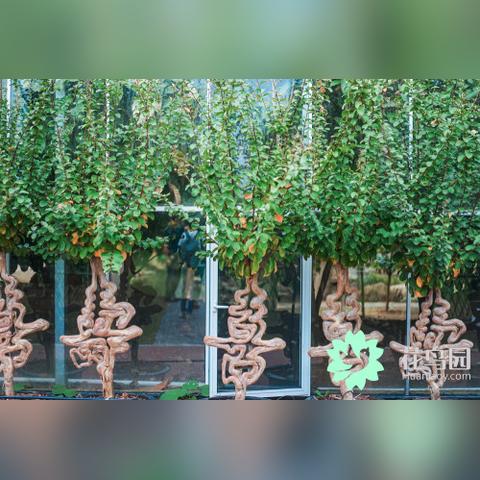 南通千诺相关长尾关键词有哪些