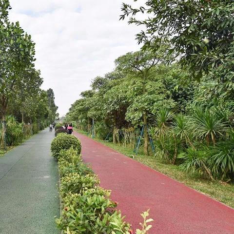 南通塑胶跑道线路长尾关键词有什么