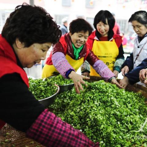 温州市第一个龙宝宝店在哪里