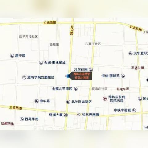 潍坊市哪里卖树苗的多