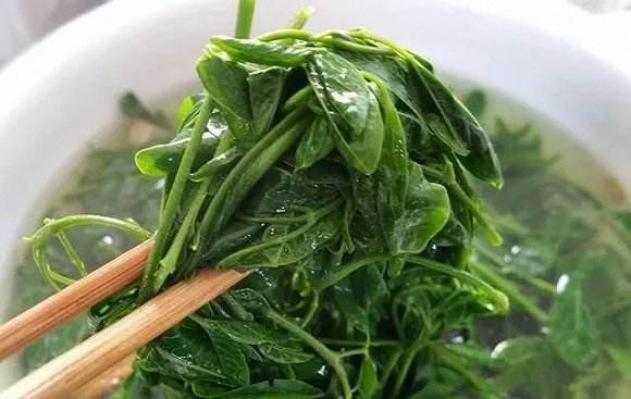 大家都认识什么美食（你生活中遇到过哪些忘不了的经历）