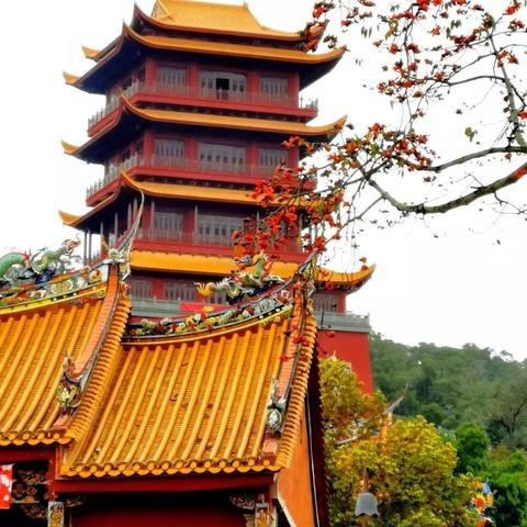 厦门家有读书郎的相关长尾关键词有哪些