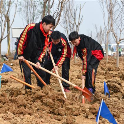 武汉市三月什么天气