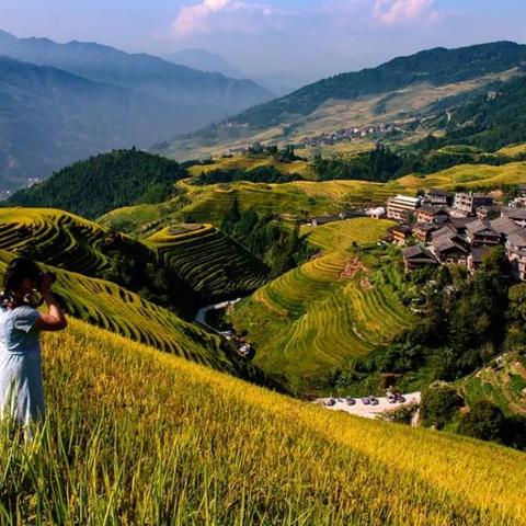 桂林市狗狗救援队在哪里