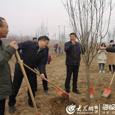 临沂市美奥学校的长尾关键词有哪些