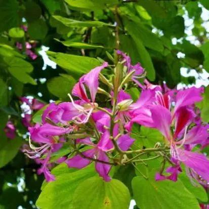 温州市惠民路是哪个区