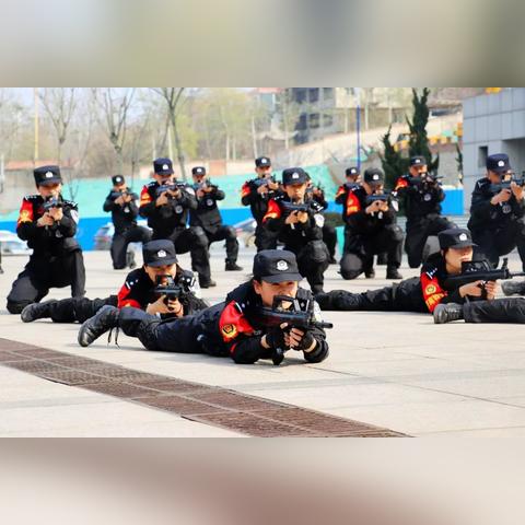 玫瑰为什么被称济南市花