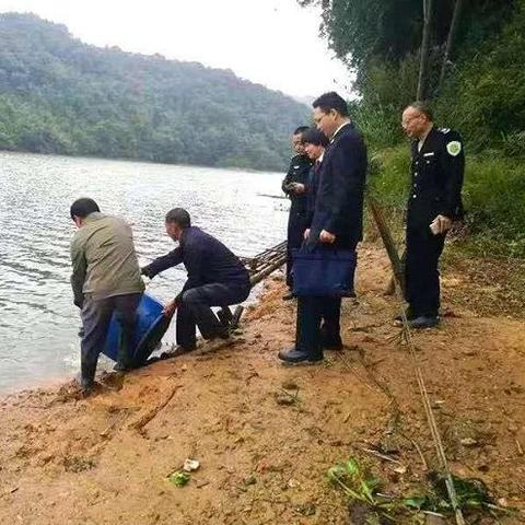 赣州市鱼苗场的长尾关键词有哪些