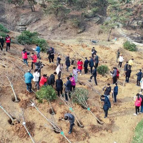 金山区跨境日本专线流程的相关长尾关键词是那些