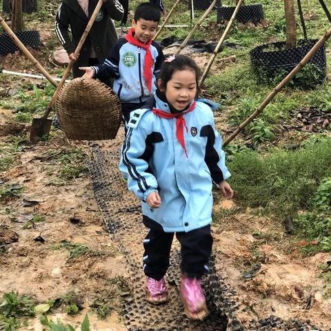 青秀区园湖路有公办高中吗？