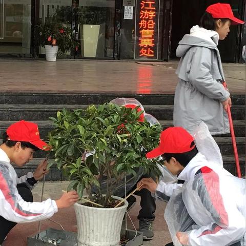 桂林市临桂区什么中学好