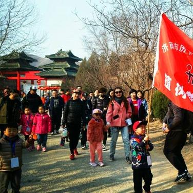 济南市适合种什么树苗