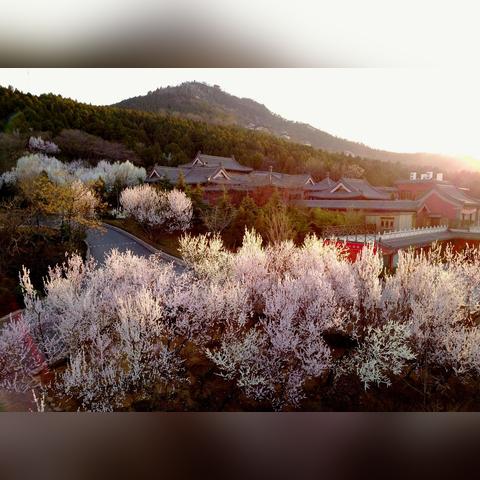 济南13价肺炎疫苗相关长尾关键词有哪些