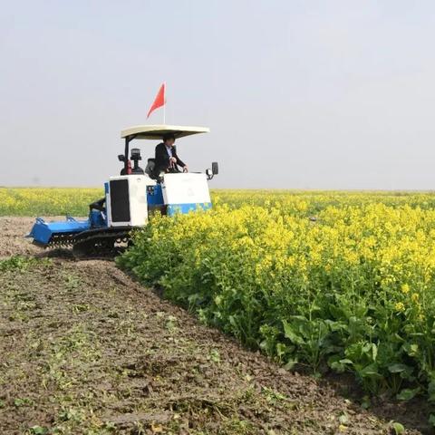 温州市龙岗市离大连多远的长尾关键词有哪些