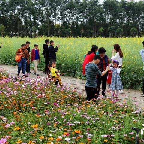 广东东莞市塘厦打工的长尾关键词有什么