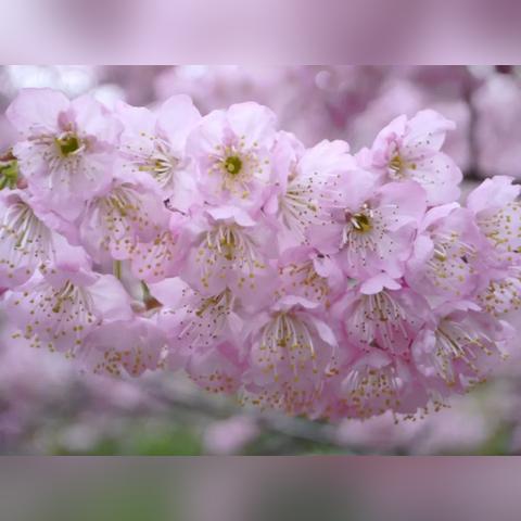 [周末苏州行]长尾关键词有什么