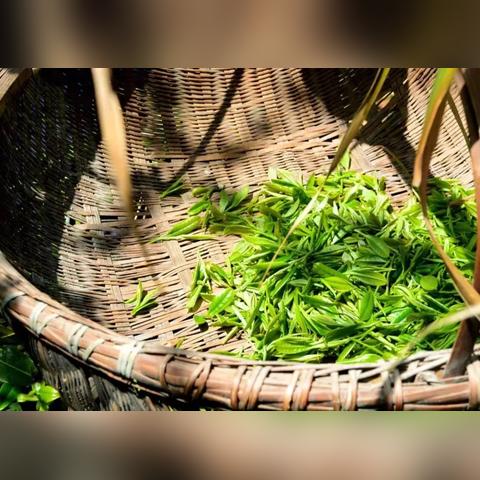 成都市哪里登山最好玩