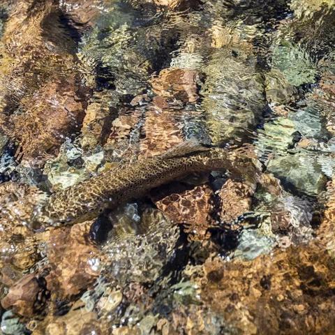 5月智利的气温的长尾关键词有哪些