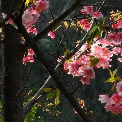 桂林盛名装饰有限公司相关长尾关键词有哪些