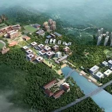 临沂市哪个县城大学多些